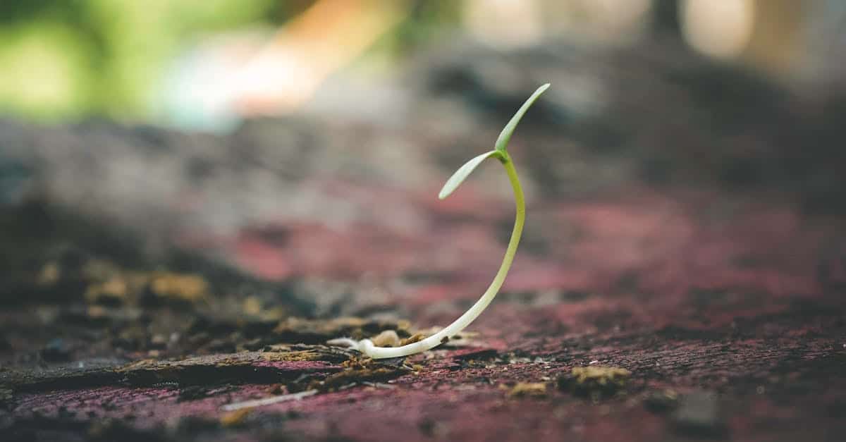 descubre cómo mejorar tu concentración y productividad con nuestros prácticos consejos sobre el enfoque. aprende a superar las distracciones y logra tus objetivos de manera efectiva.